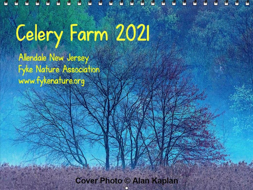 2021 Calendar