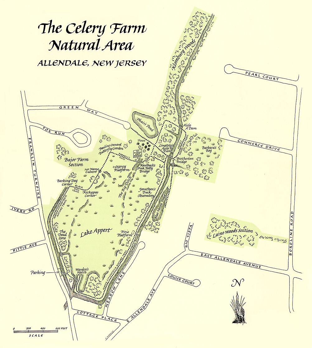 The Celery Farm