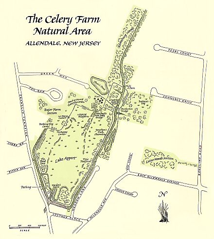 The Celery Farm