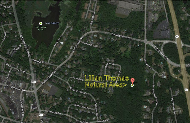 Lillian Thomas Natural Area
