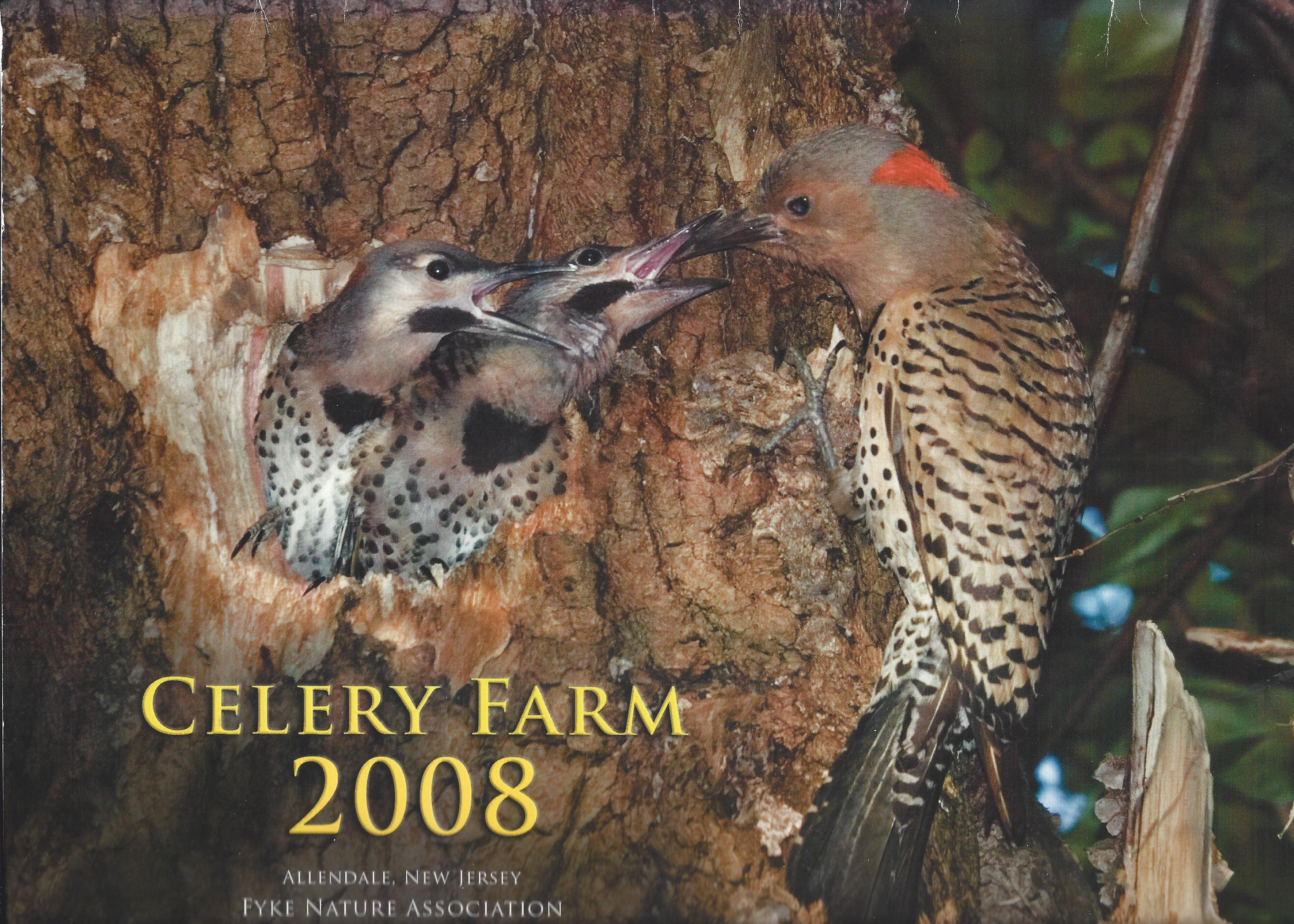 2008 Calendar