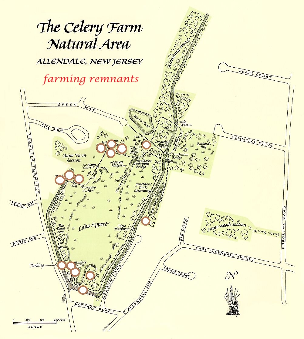 The Celery Farm