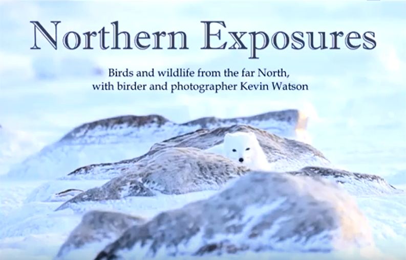 Northern Exposures Video