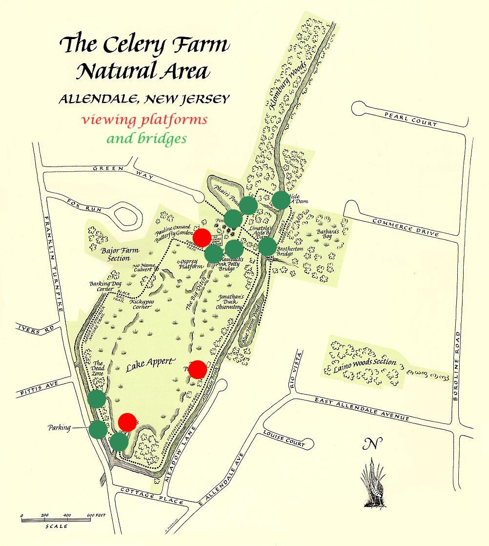 The Celery Farm