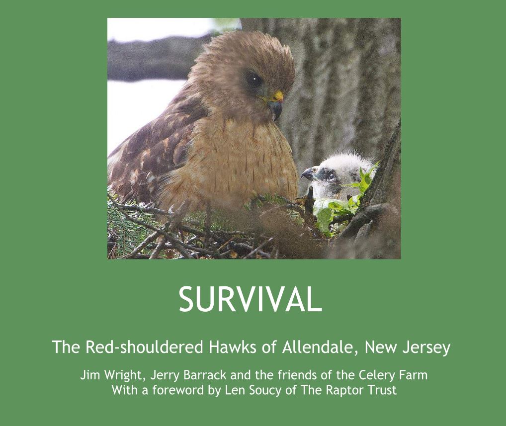 Survival