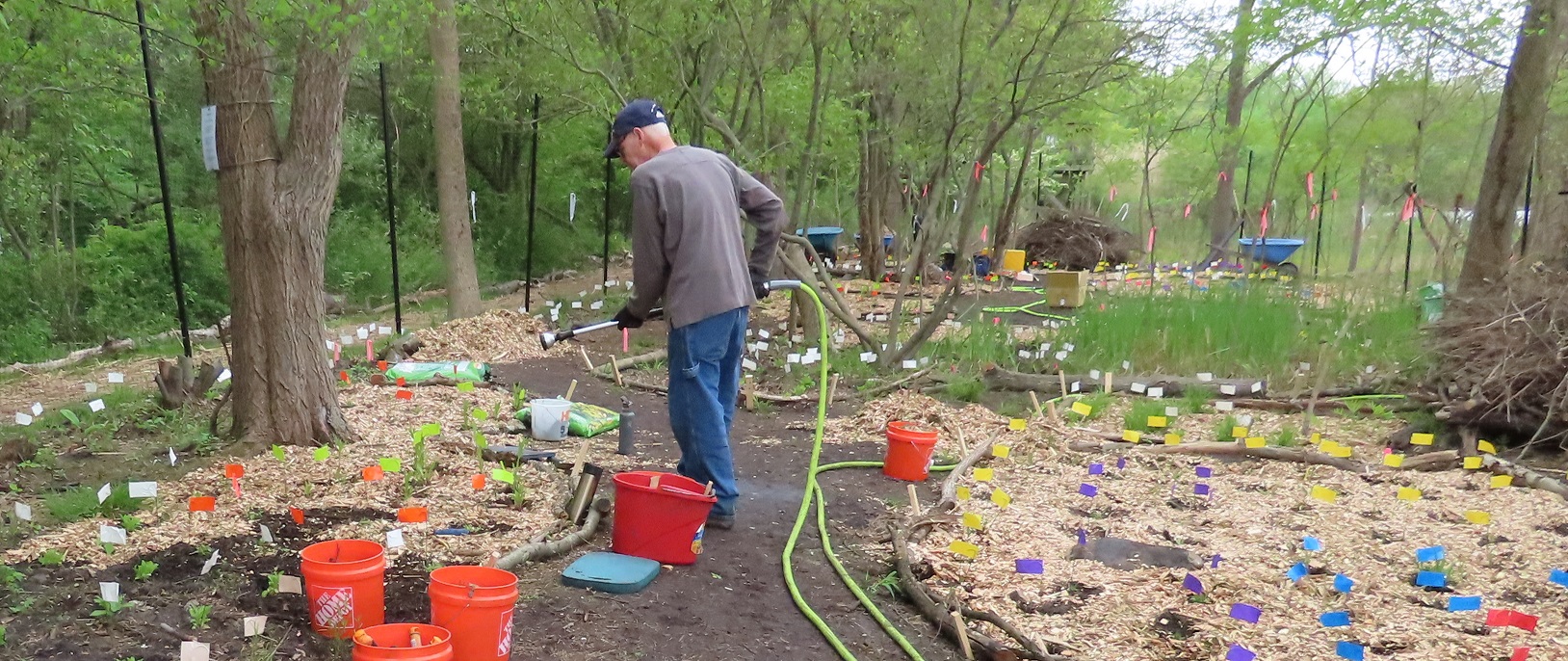Wood Chips in Plant Beds