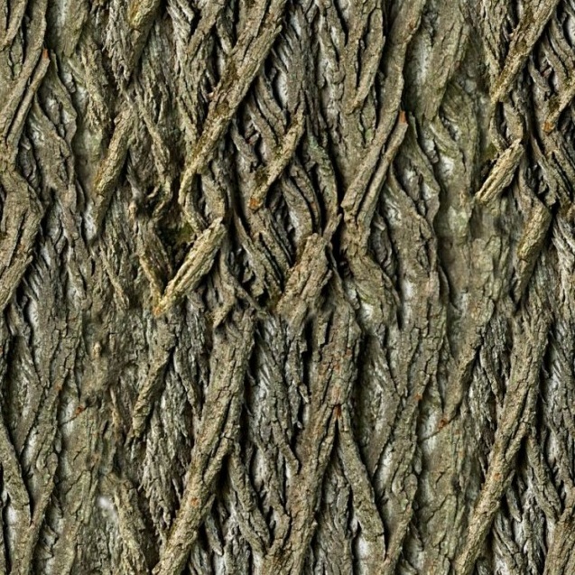 Willow Tree Bark