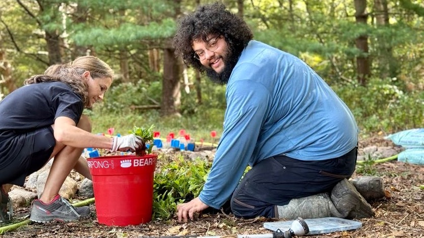 Green Way Meadow Replanting