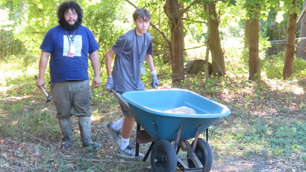 Green Way Meadow Replanting