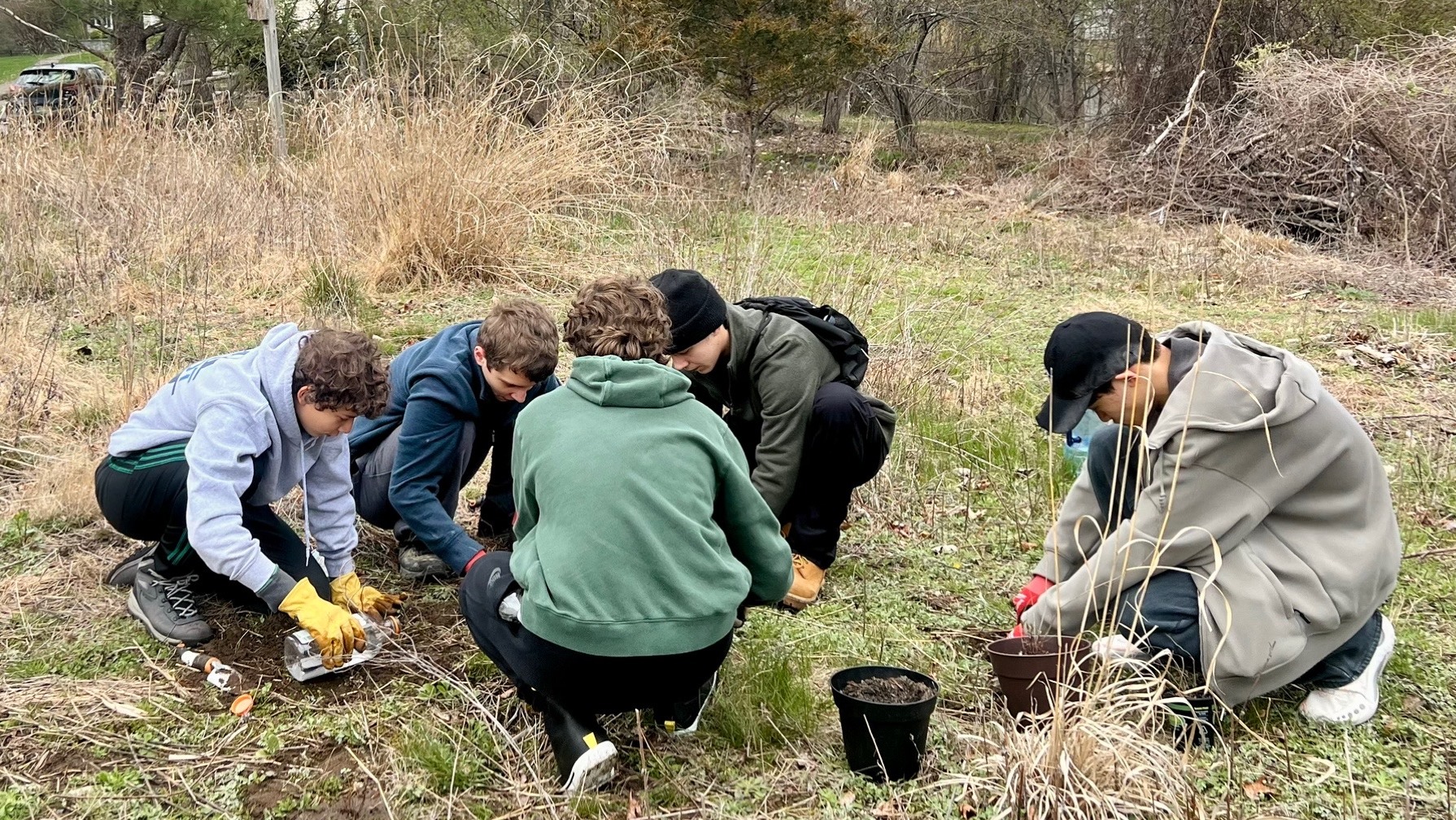 Celery Farm Volunteers
