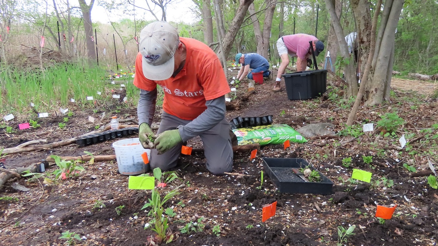 Celery Farm Volunteers