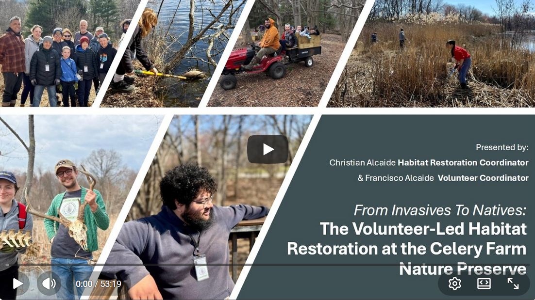 How 150+ Volunteers Are Increasing Biodiversity at the Celery Farm with Frank and Christian Alcaide Video