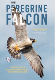 Peregrine Falcon Book Cover