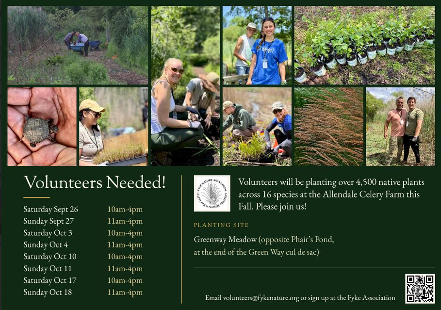 Fall Planting Flyer