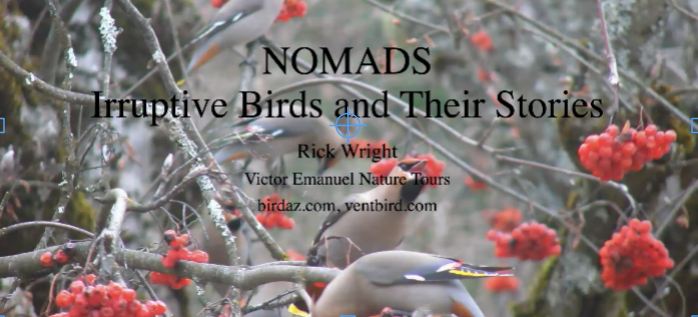 Nomadic Birds and Their Stories Video